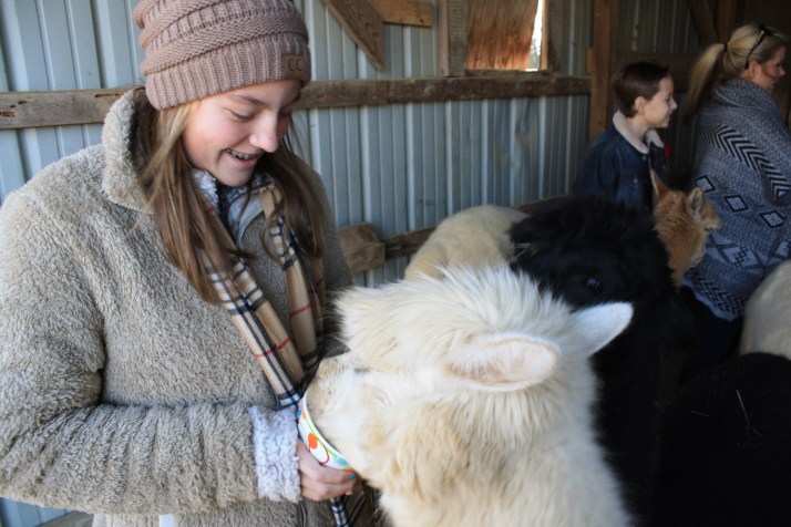 Anna Feeding the Alpaca.JPG