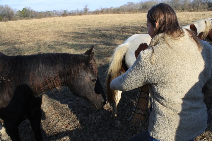 Anna with the horses.JPG